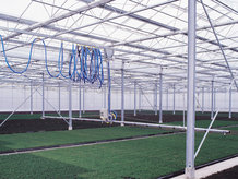 Media- and energy supply for mobile watering car in a greenhouse